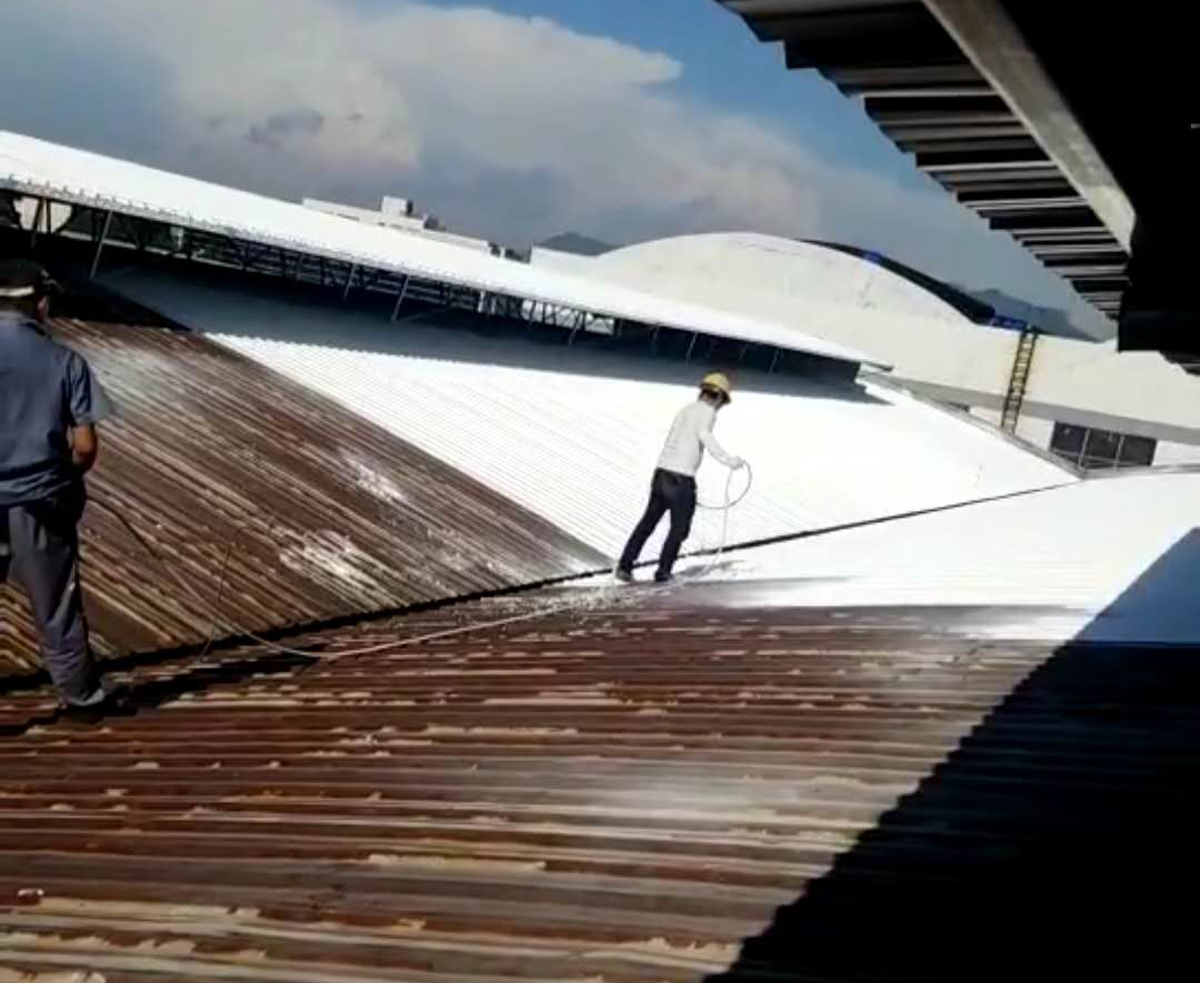 ߏS(chng)ʩF(xin)(chng)